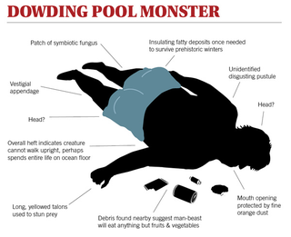 Illustration for article titled Hideous Man-Beast Washes Up On Shore Of Municipal Pool